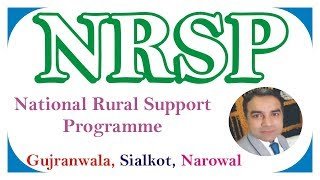 NRSP Jobs in Karachi 2