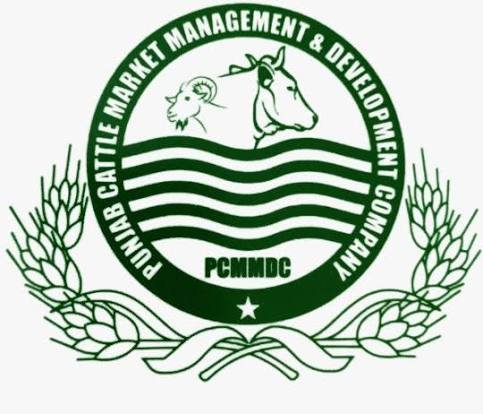 Punjab Cattle Market Jobs