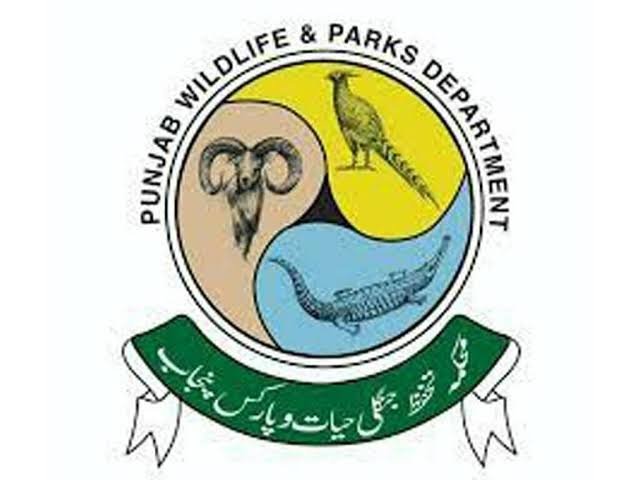 Punjab Wildlife Jobs 2026 2