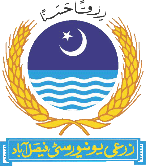 UAF Jobs 2026