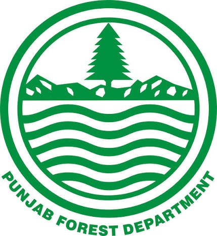 Punjab Forest Department Lahore Jobs 2026 2